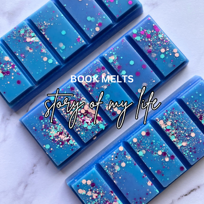Story Of My Life - Book Melt - *New*