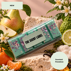 A packaged scented wax melt bar set from The Scent Label, featuring mint green wax cubes with pink and purple glitter flakes. The product is styled in a flat-lay composition with fresh pears, citrus, flowers, and moss on a sandy background, with text overlays reading 'NEW' and 'Scented: Paradoxo'.