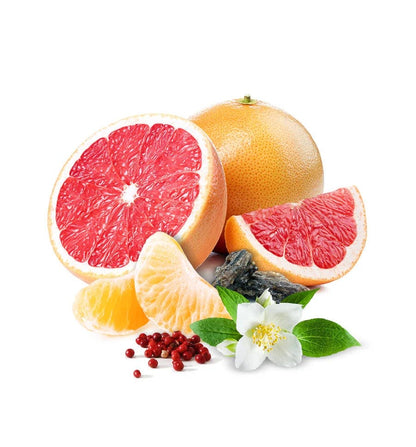 Citrus Sundays - *RESTOCKED* 