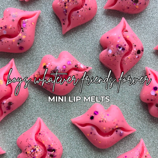 Boys Whatever Friends Forever | Mini Lip Melts 