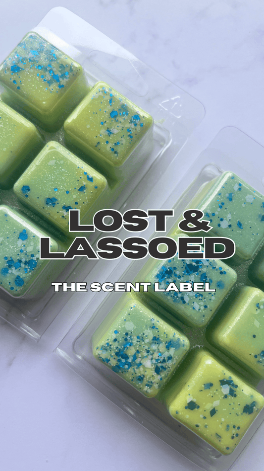 Lost & Lassoed